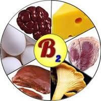 B2 B2 Vitaminas en el cerebro