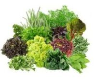 B9 B9 Vitaminas del cerebro